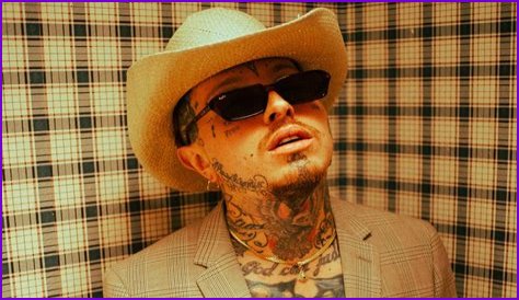 Nanpa Básico Net Worth